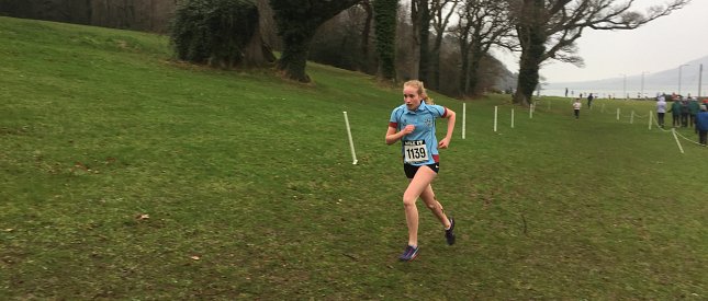 Clean sweep for Strathearn's Cross Country Teams!